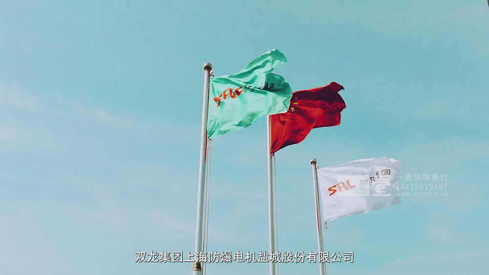 双龙电机宣传片39.jpg